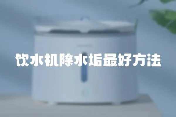飲水機除水垢最好方法