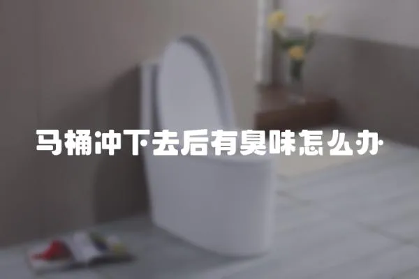 馬桶沖下去后有臭味怎么辦