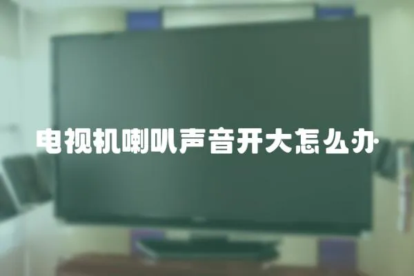 電視機喇叭聲音開大怎么辦
