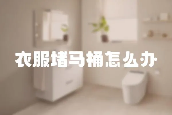 衣服堵馬桶怎么辦