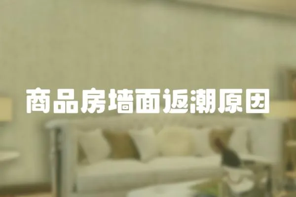 商品房墻面返潮原因