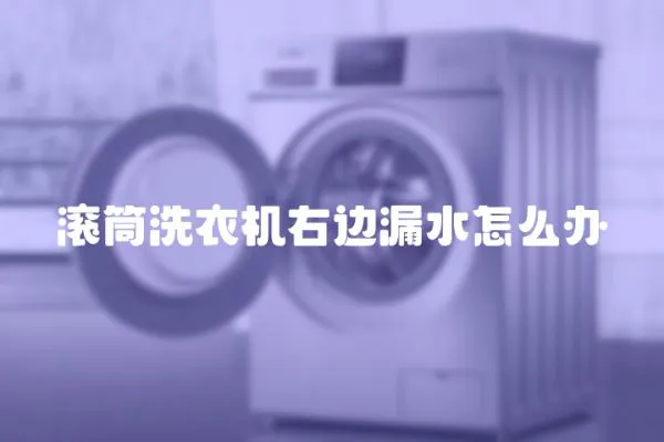 滾筒洗衣機(jī)右邊漏水怎么辦