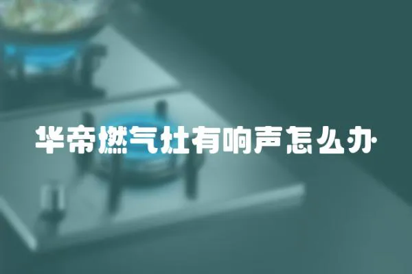 華帝燃氣灶有響聲怎么辦