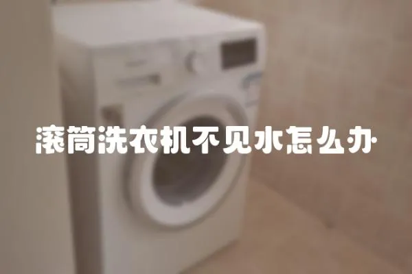 滾筒洗衣機不見水怎么辦