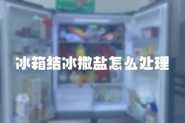 冰箱結冰撒鹽怎么處理