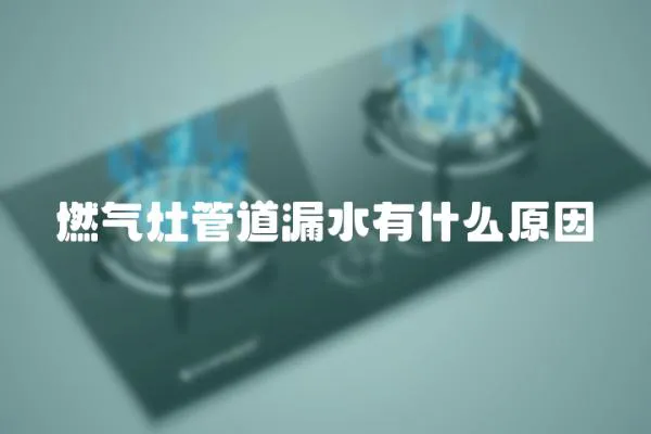 燃氣灶管道漏水有什么原因