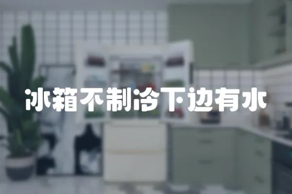 冰箱不制冷下邊有水