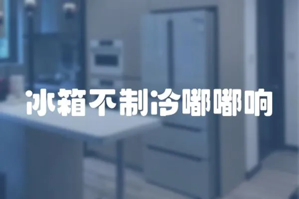 冰箱不制冷嘟嘟響