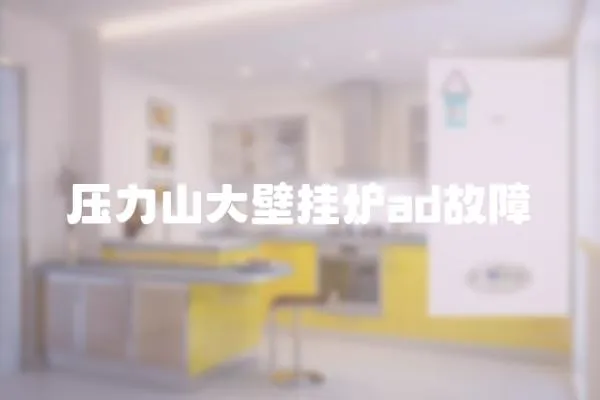 壓力山大壁掛爐ad故障