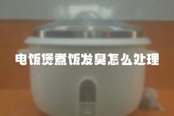 電飯煲煮飯發臭怎么處理
