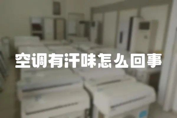 空調有汗味怎么回事