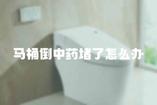 馬桶倒中藥堵了怎么辦