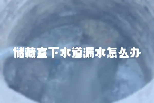 儲藏室下水道漏水怎么辦
