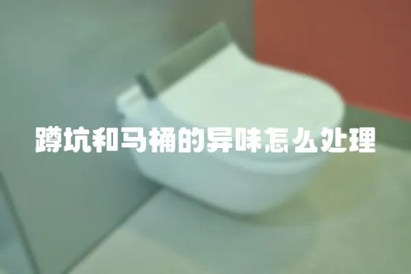 蹲坑和馬桶的異味怎么處理