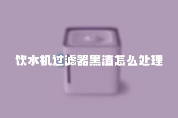 飲水機過濾器黑渣怎么處理