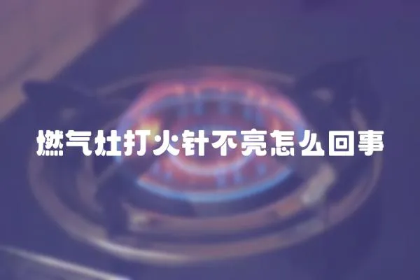 燃氣灶打火針不亮怎么回事