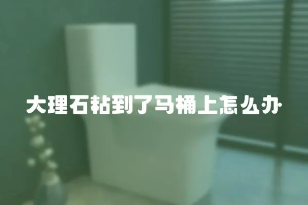 大理石粘到了馬桶上怎么辦