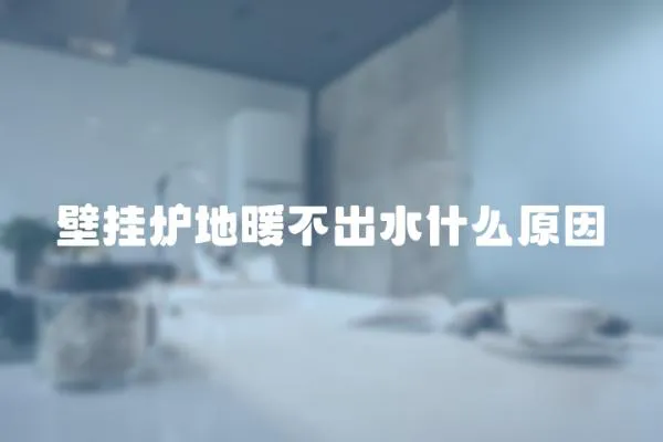 壁掛爐地暖不出水什么原因
