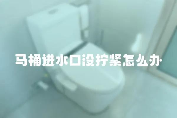 馬桶進水口沒擰緊怎么辦