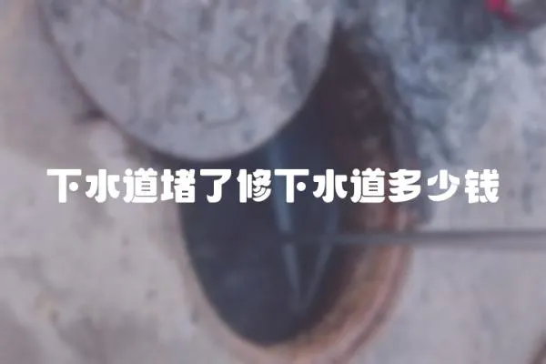 下水道堵了修下水道多少錢