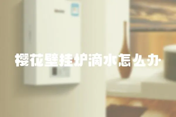 櫻花壁掛爐滴水怎么辦