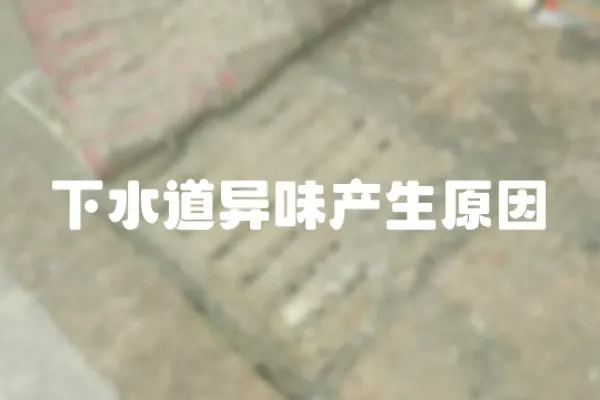 下水道異味產生原因