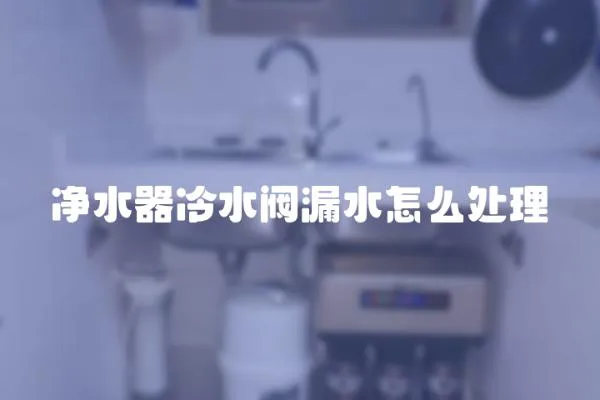 凈水器冷水閥漏水怎么處理