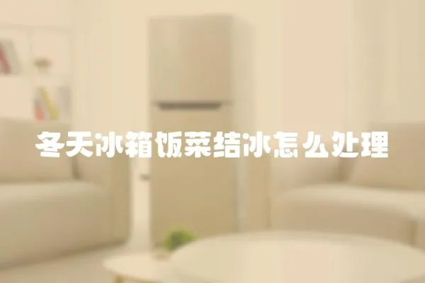 冬天冰箱飯菜結冰怎么處理