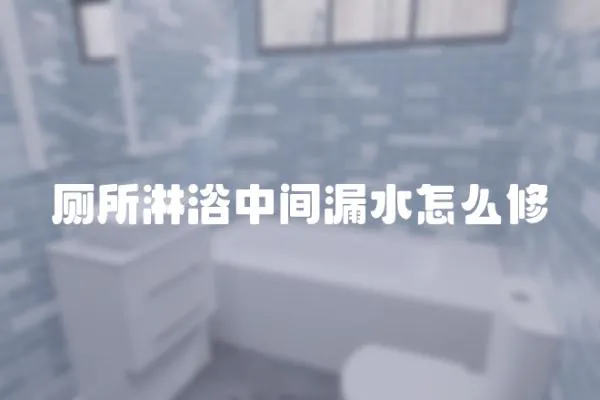 廁所淋浴中間漏水怎么修