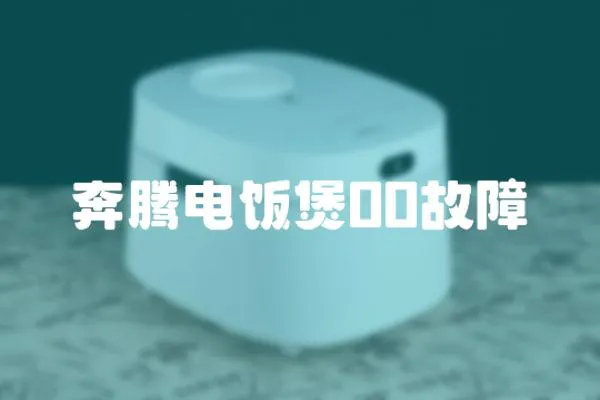 奔騰電飯煲00故障