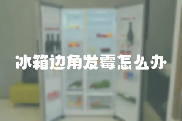 冰箱邊角發霉怎么辦