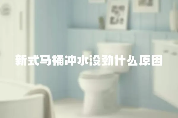 新式馬桶沖水沒勁什么原因