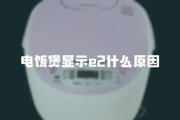 電飯煲顯示e2什么原因