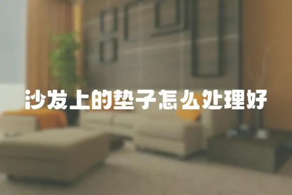 沙發(fā)上的墊子怎么處理好