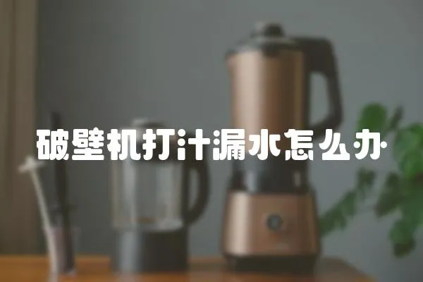 破壁機打汁漏水怎么辦