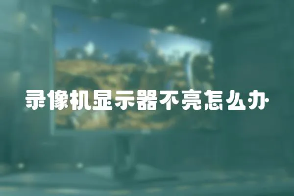 錄像機(jī)顯示器不亮怎么辦