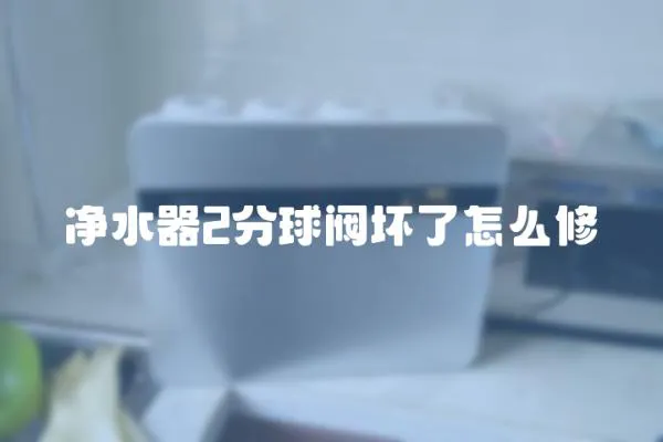 凈水器2分球閥壞了怎么修