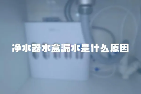 凈水器水盒漏水是什么原因