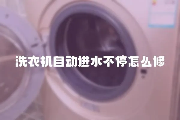 洗衣機自動進水不停怎么修