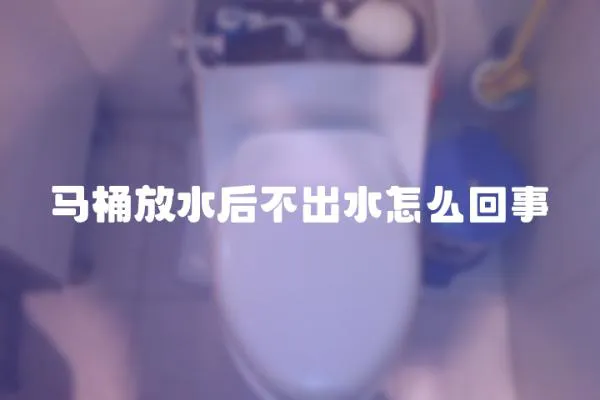 馬桶放水后不出水怎么回事