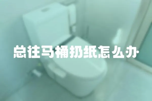 總往馬桶扔紙怎么辦