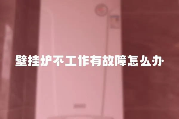 壁掛爐不工作有故障怎么辦