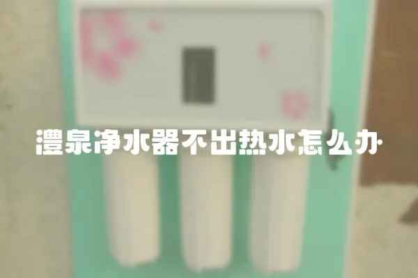 澧泉凈水器不出熱水怎么辦