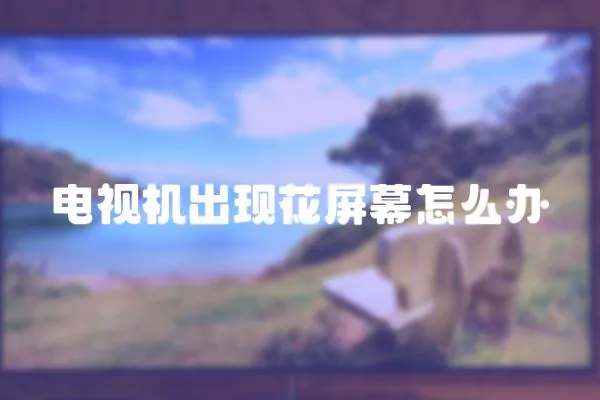 電視機出現花屏幕怎么辦