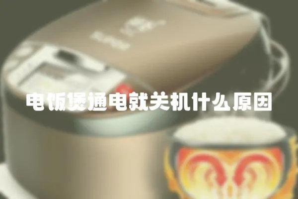 電飯煲通電就關機什么原因