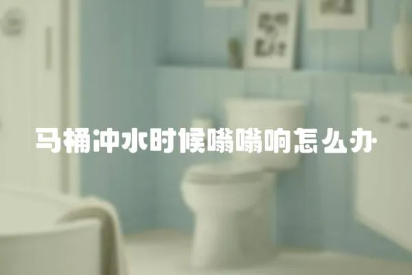 馬桶沖水時候嗡嗡響怎么辦