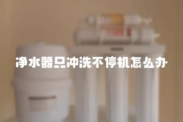 凈水器只沖洗不停機怎么辦