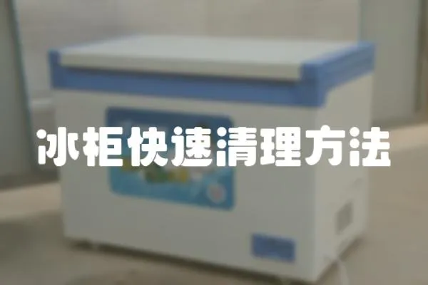 冰柜快速清理方法