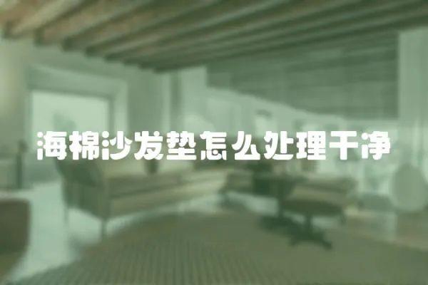 海棉沙發墊怎么處理干凈