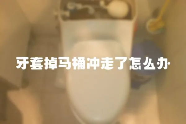 牙套掉马桶冲走了怎么办